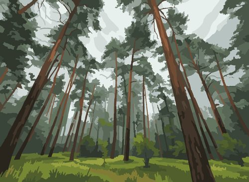 Раскраска по номерам «Лесная тропа»
